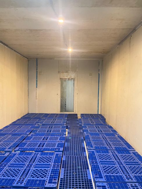 Interior cold storage dengan pallet plastik biru dan area pintu.