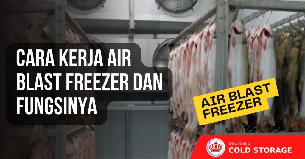Cara Kerja Air Blast Freezer dan Fungsinya