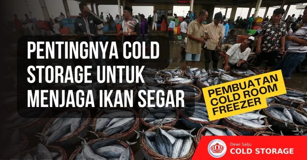 cold storage untuk ikan segar