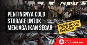 cold storage untuk ikan segar
