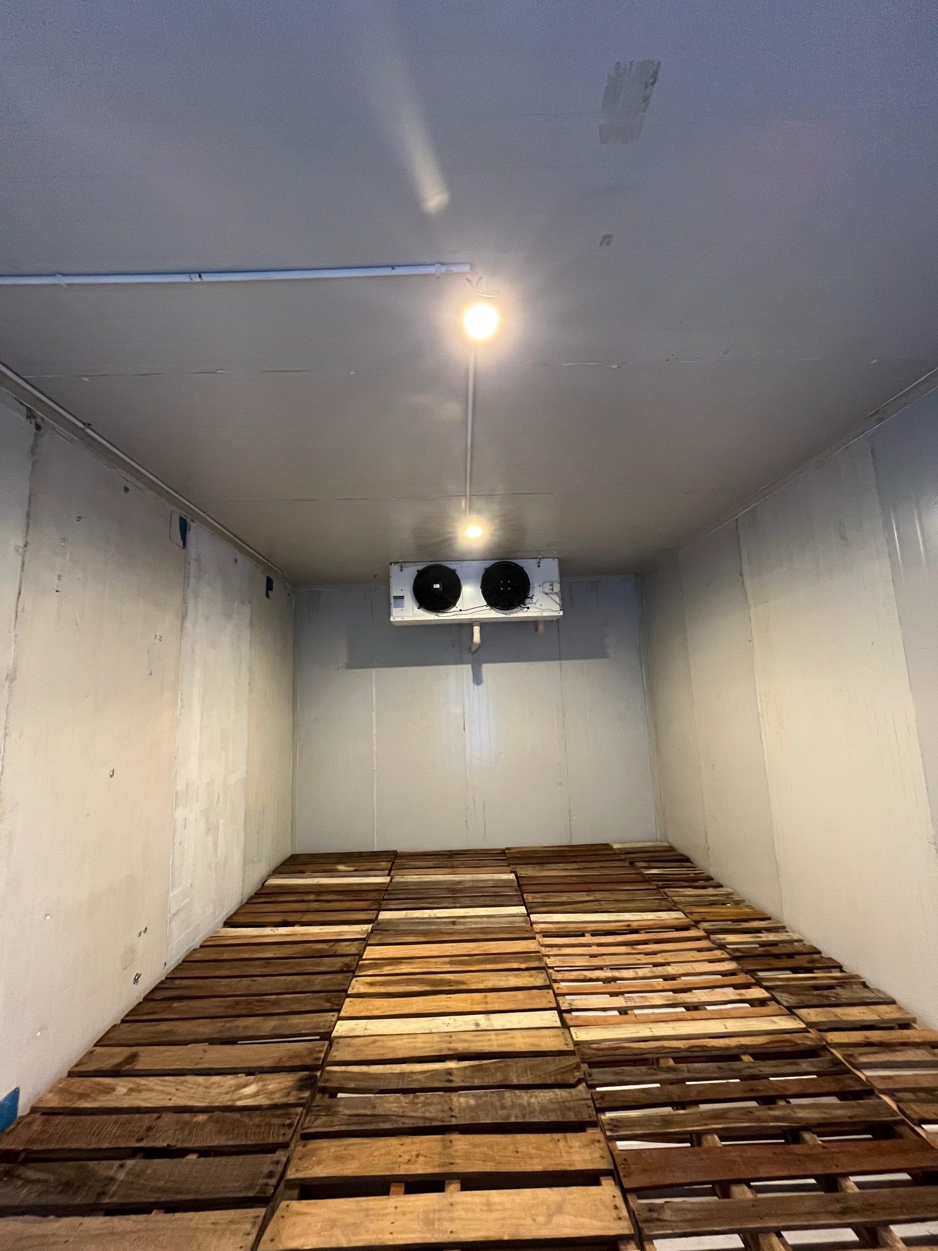 Interior ruang cold storage Dewa Salju Nusantara dengan evaporator dan pallet untuk penyimpanan produk